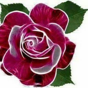 Meet your Posher, Herminda